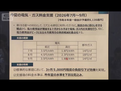 政府 この夏も「省エネ」呼びかけ 赤沢大臣「踏み込んだ節約お願いする段階にはない」(2026年5月26日) サムネイル