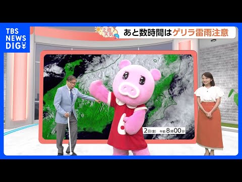 【6月13日 関東の天気】あと数時間 急な雷雨注意｜TBS NEWS DIG