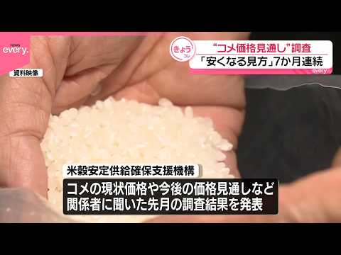 【コメ価格調査】先安観続く  業者の半数が「在庫水準」を意識か サムネイル