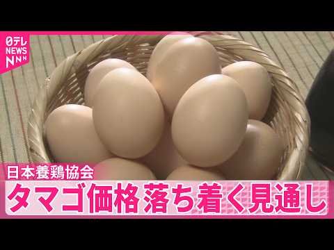 【タマゴ】夏ごろにはタマゴ価格落ち着く見通し  日本養鶏協会