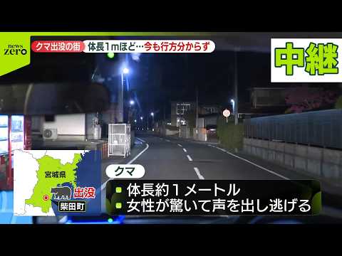 【民家の庭にクマ】体長1メートルほど…行方分からず  宮城・柴田町 サムネイル
