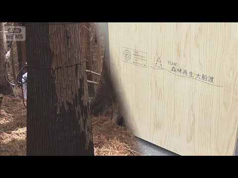 岩手・大船渡の山火事から1年　黒焦げの“被害木”課題に【サタデーステーション】(2026年2月21日) サムネイル