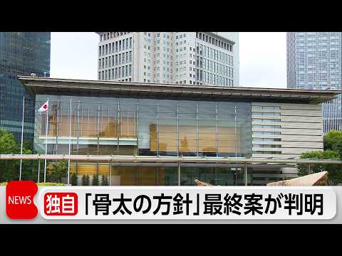 【独自】政府の「骨太方針」最終案が判明 社会保障負担率「上昇しないよう取り組む」