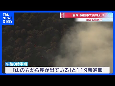 静岡・藤枝市で山林火災 広範囲に燃え広がり消火活動続く　人や建物への被害は確認されず｜TBS NEWS DIG サムネイル