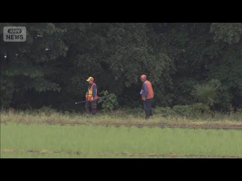 宇都宮市 クマの目撃相次ぐ　けさは大学キャンパスでも…(2026年6月9日) サムネイル