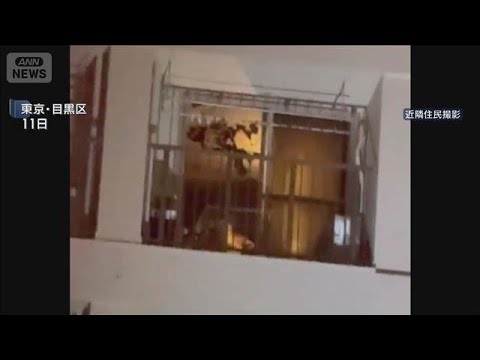 目黒区マンション　死亡した男女に刺し傷　火事の部屋は施錠　第三者は不在か(2026年3月13日) サムネイル