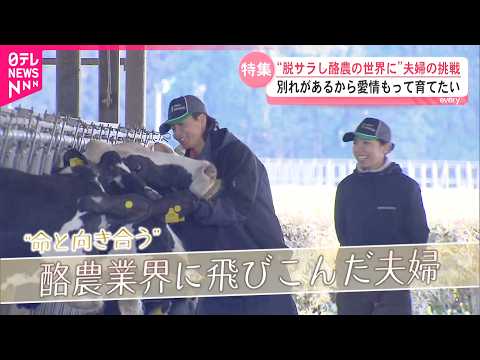 【密着】未経験の20代夫婦が酪農に挑戦！命と向き合う仕事への夢と情熱　鹿児島　NNNセレクション
