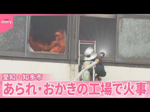 【火事】「菓子焼いている機械から出火」おかきなど製造の工場  ケガ人なし  愛知・知多市 サムネイル