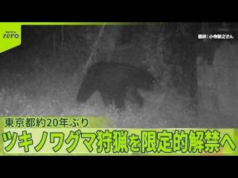 【相次ぐ出没】約20年ぶり…東京都、ツキノワグマ狩猟を限定的解禁の方針　専門家「 いくつか大きな利点」課題も指摘