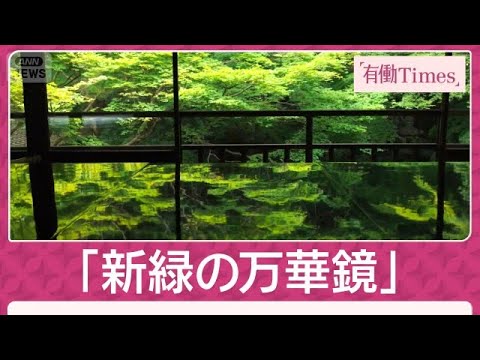 絶景 漆黒に浮かぶ「新緑の万華鏡」青もみじ輝く京都・比叡山の山寺「瑠璃光院」(2026年5月31日) サムネイル