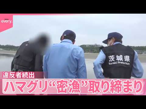 【違反者続出】「わかんなかった」あきれた言い訳も…ハマグリ“密漁”取り締まりに密着 サムネイル