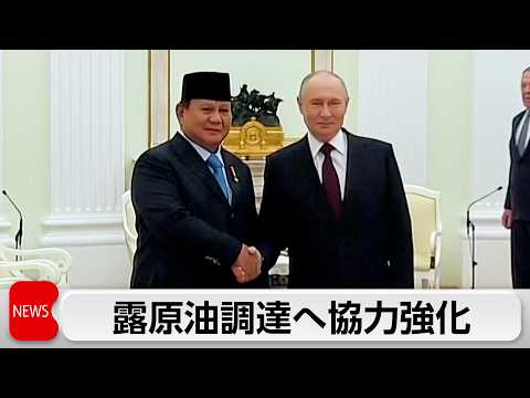 インドネシア大統領　プーチン大統領と会談　エネルギー・経済の協力強化で一致
