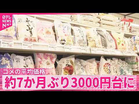 【コメの平均価格】専門家は“価格が暴落する可能性”指摘  約7か月ぶり3000円台に