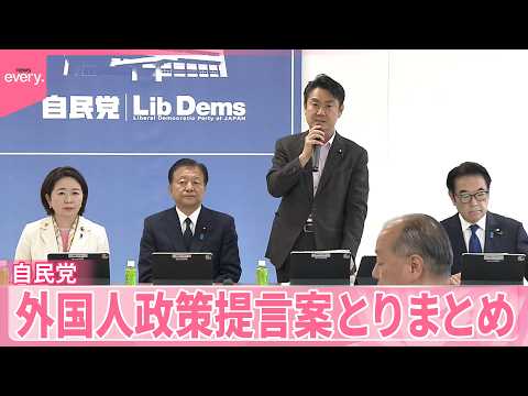 【自民･外国人政策本部】日本語教育プログラムや不法就労対策強化など盛り込む  第2次提言案とりまとめ サムネイル