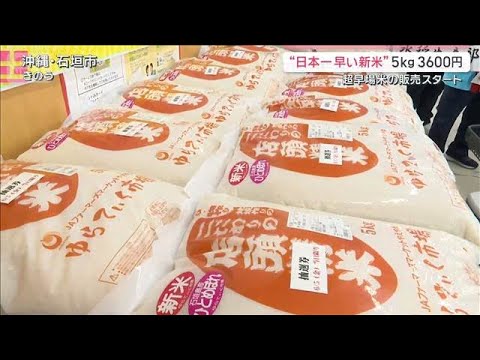 “日本一早い新米”販売開始「5キロ税込み3600円」来年は更なるコメ余り懸念も【サタデーステーション】(2026年6月… サムネイル
