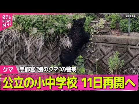 【クマ出没】宇都宮“別のクマ”の警戒　公立の小中学校11日再開へ──社会ニュースライブ（日テレNEWS LIVE） サムネイル