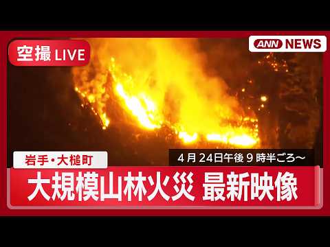 【ライブ空撮】現地最新映像 岩手・大槌町の大規模山林火災 発生3日目の夜【LIVE】(2026年4月24日 ANN/テ… サムネイル