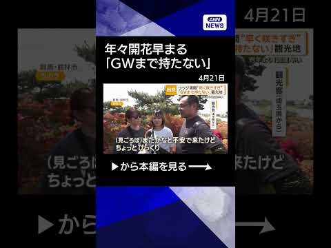 【ニュース】開花が早すぎ「GWまで持たない」観光地　例年より1週間早い　“少しでも遅く”工夫も shrots サムネイル