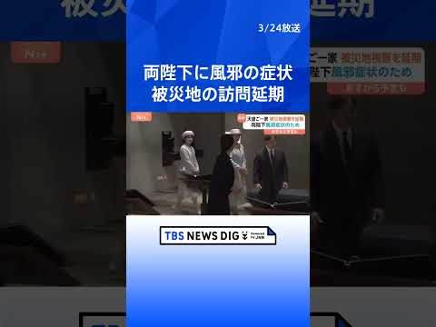 天皇ご一家　東日本大震災の被災地 岩手県と宮城県の訪問延期　両陛下に風邪の症状｜TBS NEWS DIG