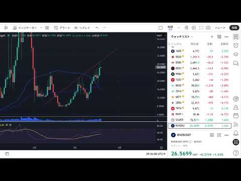 株価 BTC 大暴落の地獄へ？！日本株 米国株 BTC ゴールド見ながら配信！