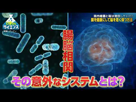 腸内細菌と認知症に関係が！？腸脳相関の最前線 佐治直樹（国立長寿医療研究センター もの忘れセンター 部長）【いまからサ… サムネイル