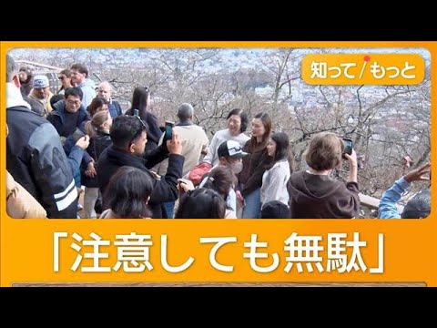 桜まつり中止でも観光客殺到 迷惑行為に住民疲弊「注意しても無駄」 山梨・富士吉田市【もっと知りたい！】【グッド！モーニ…