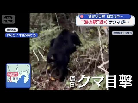 被害や目撃相次ぐなか…“道の駅”近くでクマ目撃も【スーパーJチャンネル】(2026年5月24日)