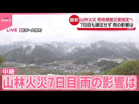 【岩手･山林火災】発生から7日目  雨の影響は  政府は局地激甚災害指定へ【中継】 サムネイル