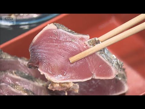 高知の名物「カツオ」水揚げ量4割減少　黒潮大蛇行の終息が影響か【知っておきたい！】【グッド！モーニング】(2026年1… サムネイル