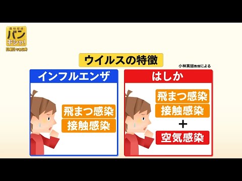 「はしか」異例の流行　感染力はインフルの“10倍”…感染しやすい理由を“レーザー”で可視化【バンキシャ！】 サムネイル