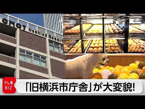ヨコハマ再発見！歴史的建造物「旧横浜市庁舎」が星野リゾートで再生 穴場スポット求め“OMOレンジャー”結成【ガイアの夜… サムネイル