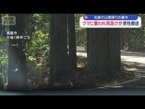 クマに襲われ両足けが　男性搬送　夫婦で山菜採りの最中【スーパーJチャンネル】(2026年4月26日) サムネイル