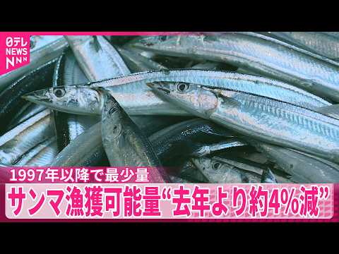 【サンマ漁獲可能量】1997年以降で最も少ない量に  “去年より約4％減”  水産庁が決定 サムネイル