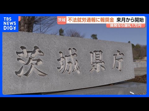 茨城県 「不法就労通報報奨金制度」を来月11日から開始　摘発につながれば一律1万円の報奨金　“個人の属性や生活上の問題… サムネイル