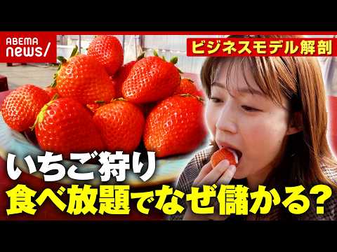 【いちご狩り】なぜ「食べ放題」で儲かる？何個食べたら元が取れる？農家が明かすビジネスモデルの裏側｜ABEMA的ニュース… サムネイル