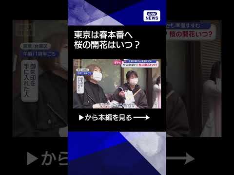【ニュース】北日本は積雪急増も東京は春本番へ　今年は早い？桜開花はいつ？ shorts サムネイル