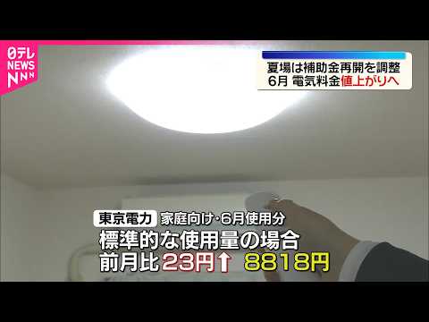 【6月の電気料金】値上がりの見通し  政府は夏場に向けた補助金再開を調整 サムネイル