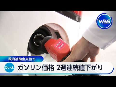 ガソリン価格 2週連続値下がり 政府補助金支給で【WBS】