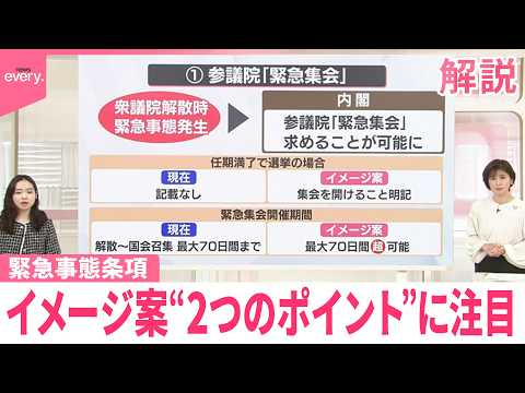 【解説】「緊急事態条項」条文のイメージ案  “2つのポイント”に注目 サムネイル