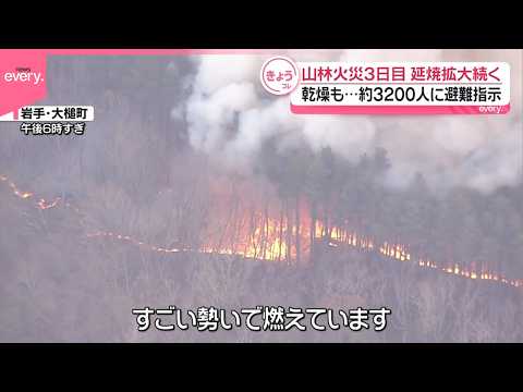 【岩手･山林火災】発生から3日目  延焼拡大続く  乾燥も…約3200人に避難指示 サムネイル