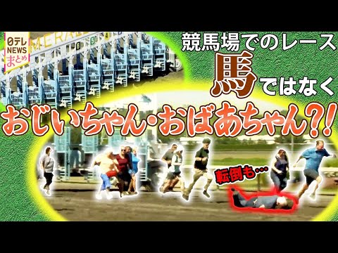 【まさかの出来事・アメリカ】競馬場で“祖父母レース”？孫のため競い合う！/都市部に“巨大ワニ”…出没増加のワケ サムネイル