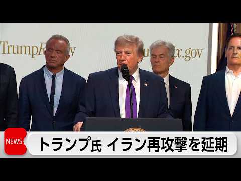 トランプ氏　イラン再攻撃を延期　「湾岸諸国などから要請があった」 サムネイル