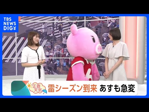 【5月14日 関東の天気】雷シーズン到来 あすも急変｜TBS NEWS DIG サムネイル