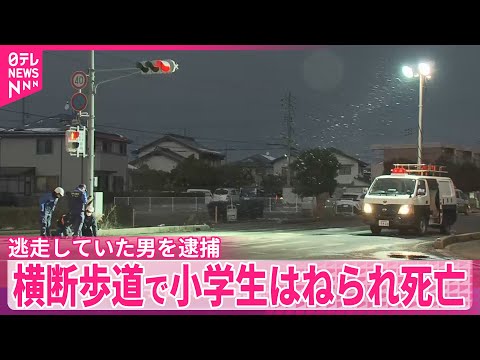 【島根・松江市】横断歩道で小学生が大型トラックにはねられ死亡　逃走していた運転手の男（50）を逮捕 サムネイル