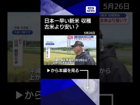 【ニュース】日本一早い新米が収穫！今年のコメ　古米より安い？ shorts サムネイル