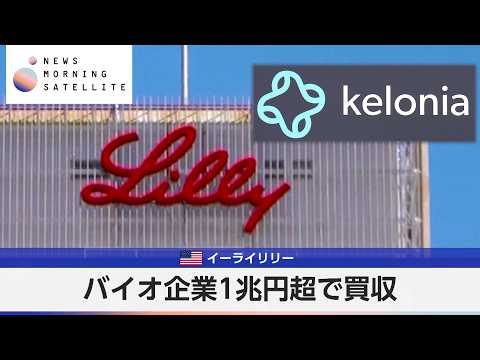 米イーライリリー バイオ企業1兆円超で買収【モーサテ】 サムネイル