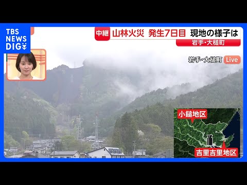 山林火災発生から7日目の岩手・大槌町　いまだ煙立ち上るなかきょうも雨予報　現在の状況は？【現地から中継】｜TBS NE… サムネイル