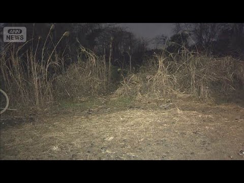 羽田強盗未遂の“逃走車”発見　香港強盗　日本人ら4人が初出廷(2026年2月2日) サムネイル