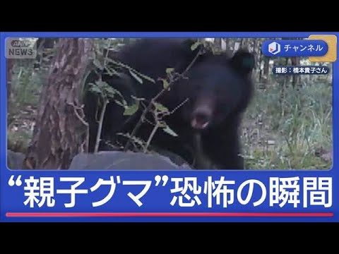 各地で“親子グマ”　襲われた当事者語る「恐怖の瞬間」【スーパーJチャンネル】(2026年5月19日) サムネイル