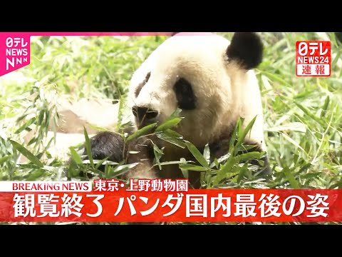 【速報】上野動物園の双子パンダ、観覧終了　国内最後の姿 サムネイル